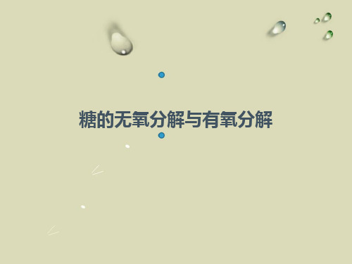 糖 有氧与无氧