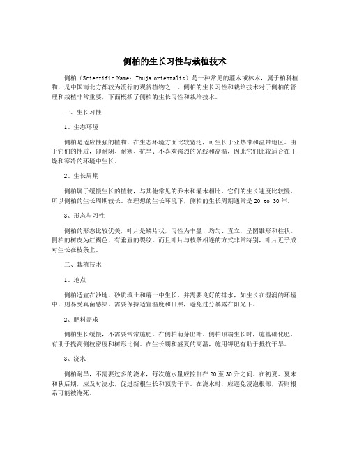 侧柏的生长习性与栽植技术