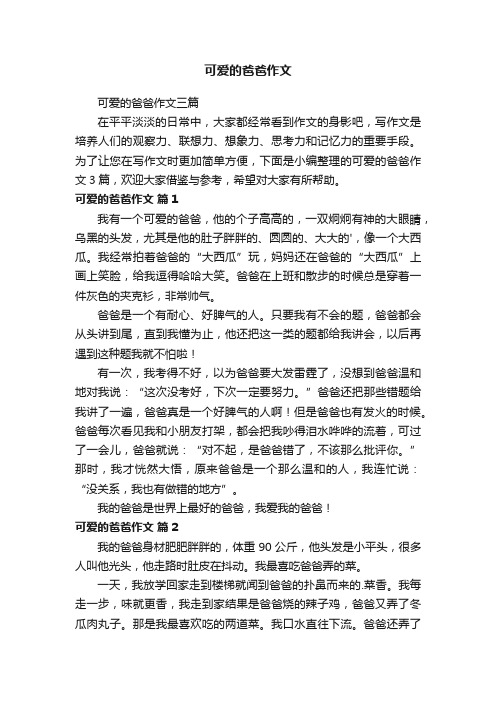 可爱的爸爸作文三篇