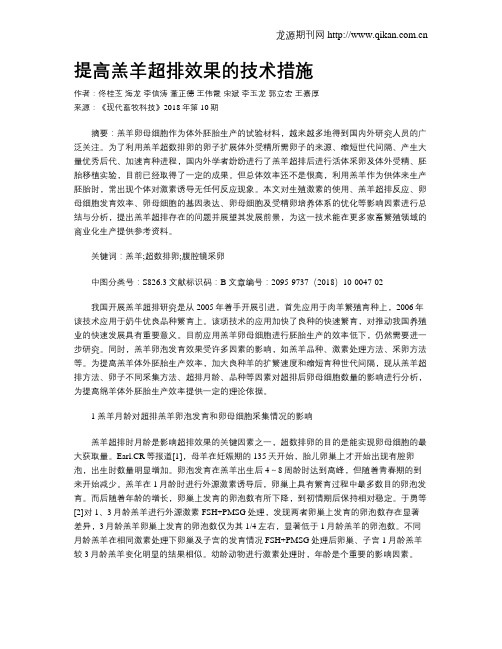 提高羔羊超排效果的技术措施