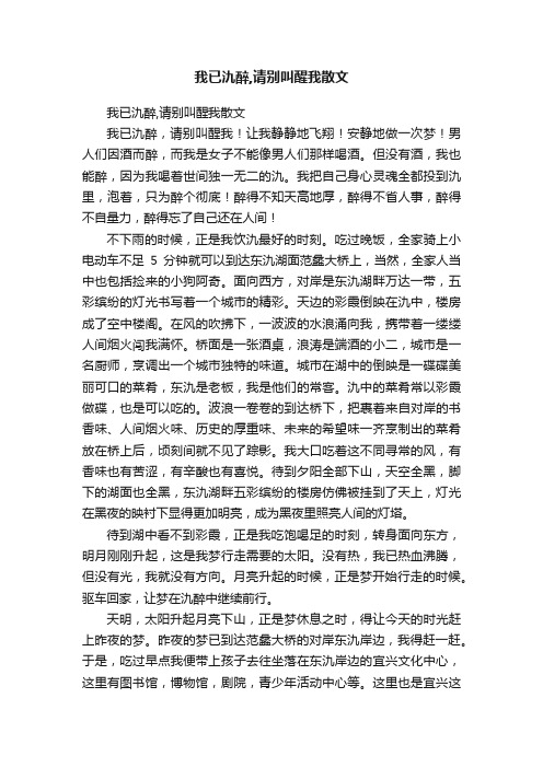 我已氿醉,请别叫醒我散文