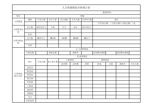 人力资源现状分析统计表