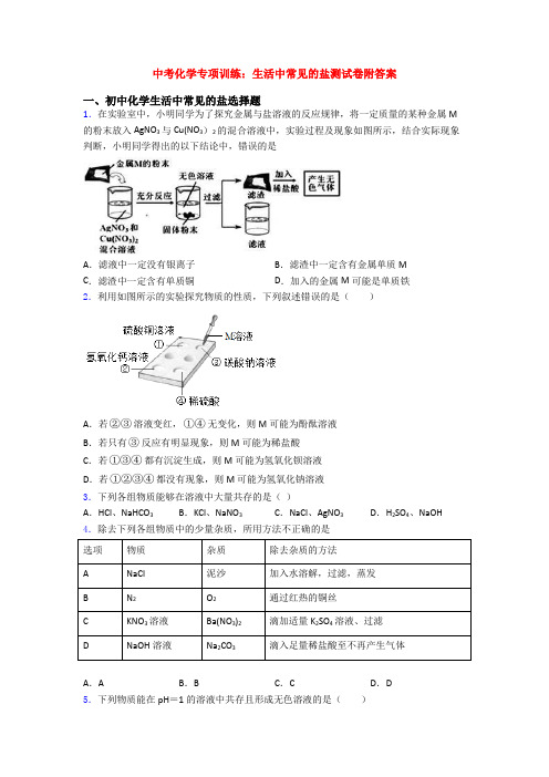 中考化学专项训练：生活中常见的盐测试卷附答案