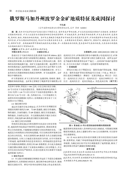 俄罗斯马加丹州波罗金金矿地质特征及成因探讨