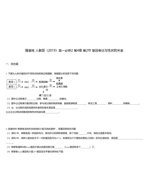 随堂练 人教版(2019)高一必修2 第4章 第2节 基因表达与性状的关系