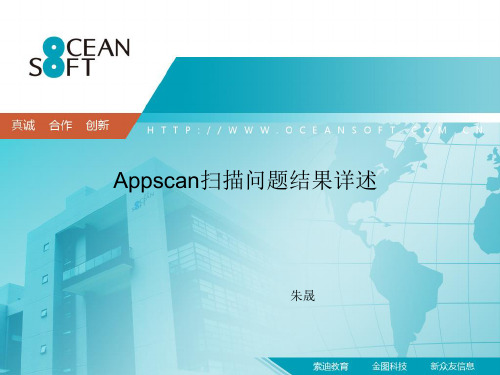 APPSCAN扫描问题结果