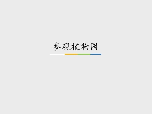 广东科技出版社粤教粤科版小学四年级科学下册：参观植物园_课件1