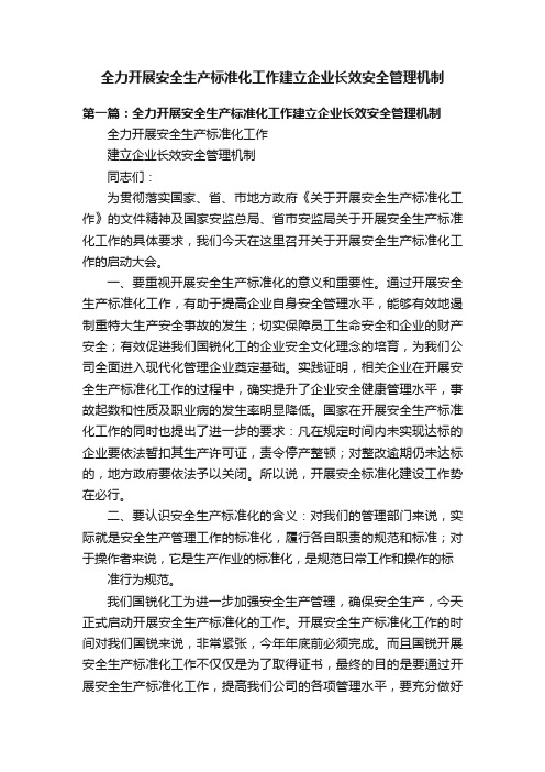 全力开展安全生产标准化工作建立企业长效安全管理机制