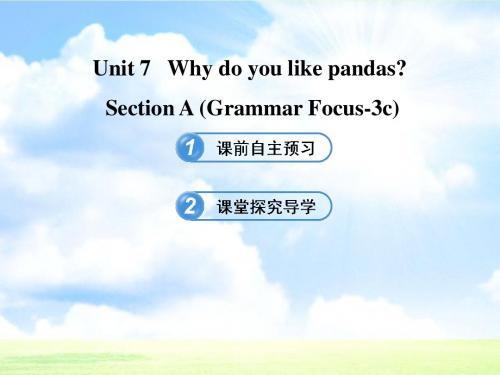 六年级英语下册 Unit 7 Why do you like pandas Section A(Grammar Focus-3c)课件