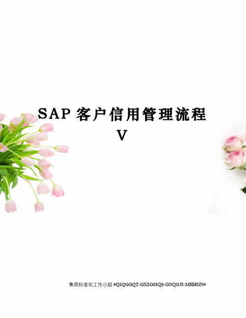 SAP客户信用管理流程V