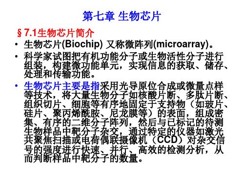 生物信息学第七章