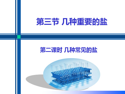 7.3 几种重要的盐(第2课时 几种常见的盐)(备课件)九年级化学下册(沪教版)
