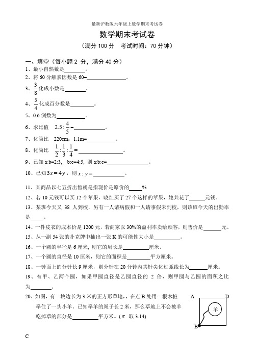 最新沪教版六年级上数学期末考试卷