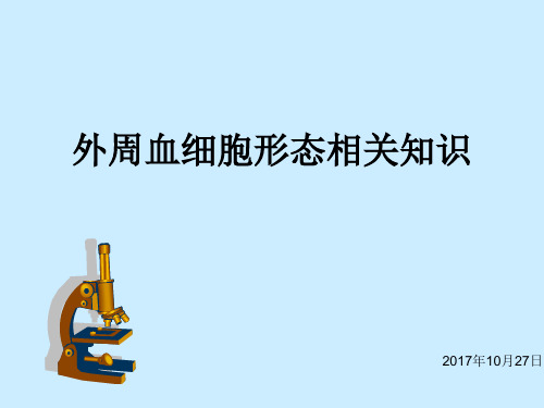 外周血细胞形态的相关知识