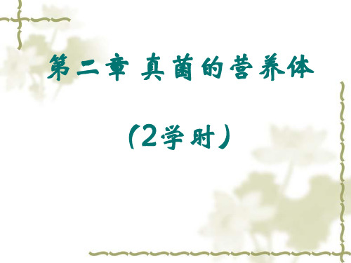 真菌学第二章 真菌的营养体