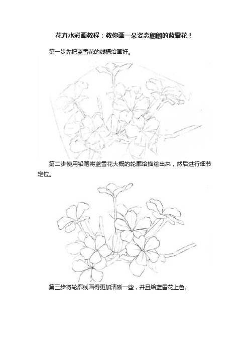 花卉水彩画教程：教你画一朵姿态翩翩的蓝雪花！