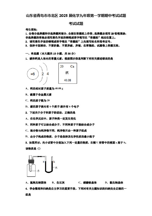 山东省青岛市市北区2025届化学九年级第一学期期中考试试题含解析