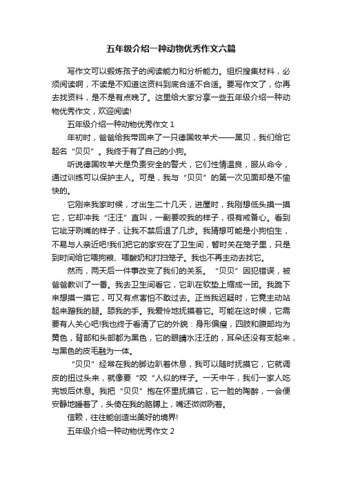 五年级介绍一种动物优秀作文六篇