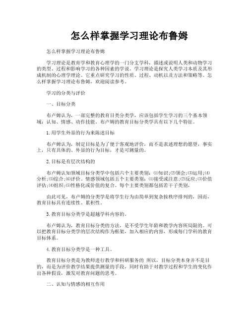 怎么样掌握学习理论布鲁姆