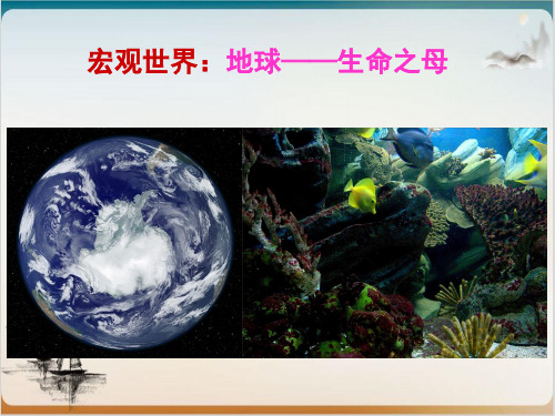 从生物圈到细胞公开课-PPT