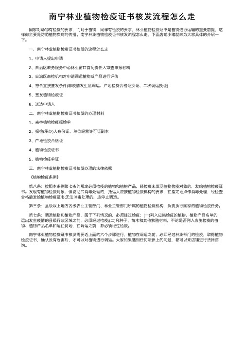 南宁林业植物检疫证书核发流程怎么走