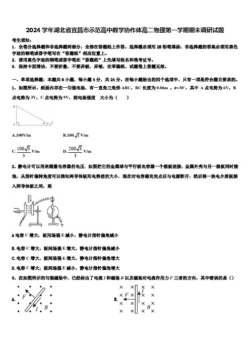 2024学年湖北省宜昌市示范高中教学协作体高二物理第一学期期末调研试题含解析