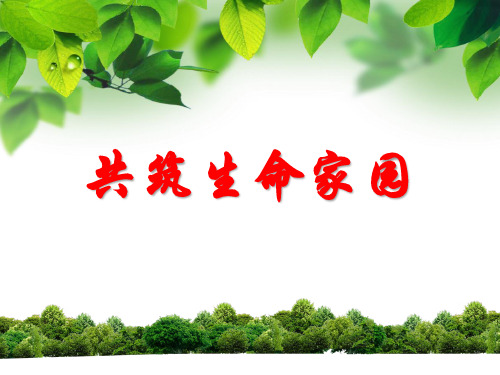 (名师整理)最新部编人教版道德与法治9年级上册第6课第2框《共筑生命家园》精品课件