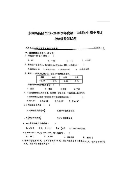 湖北省武汉市东湖高新区度七上学期期中数学试卷(PDF)