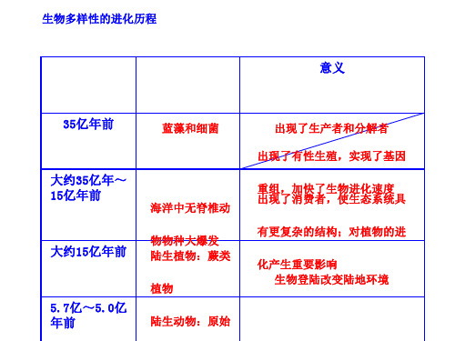 《生物多样性的进化历程PPT (3)