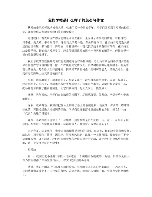 我们学校是什么样子的怎么写作文