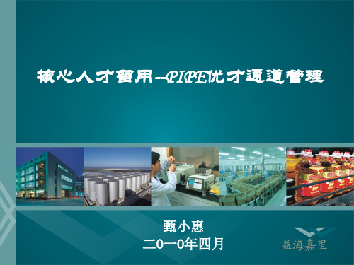 PIPE优才通道管理教材(PPT 46页)