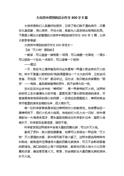 大自然中得到的启示作文600字5篇