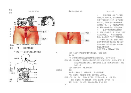 2015最新人教版七年级下册生物复习资料