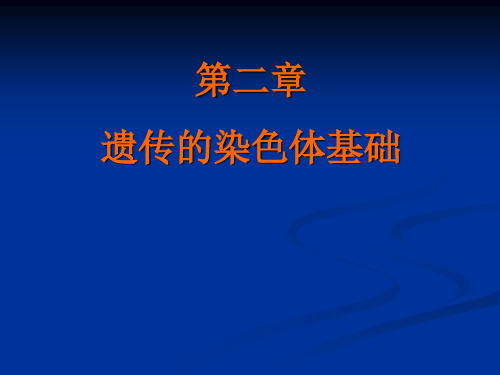 不同生物物种的染色体数目不同