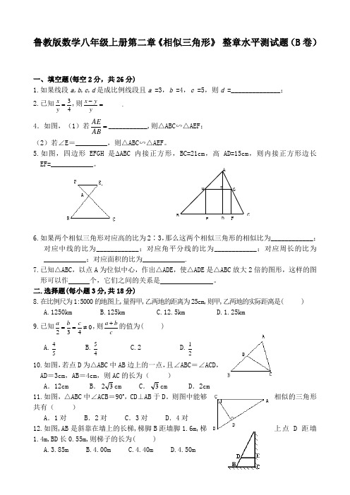 鲁教版数学八年级上册第二章《相似三角形》 整章水平测试题(B卷)