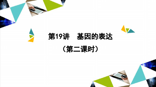 2023届高三生物一轮复习课件：第19讲  基因的表达(第二课时)