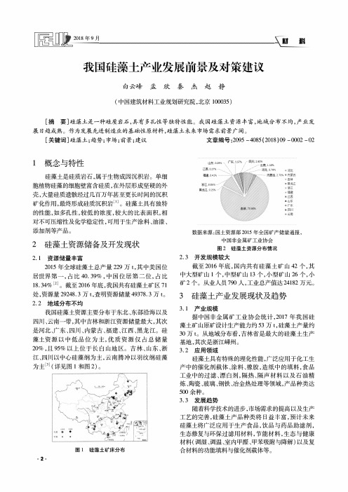 我国硅藻土产业发展前景及对策建议