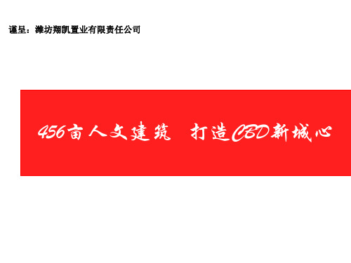 潍坊市场研究及定位报告