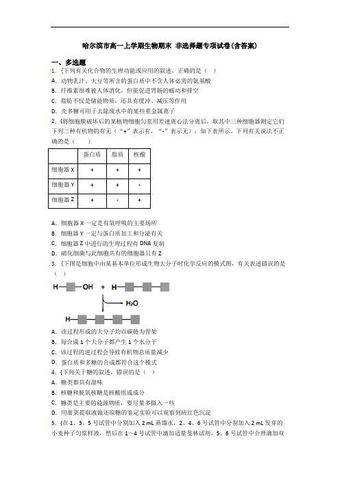 哈尔滨市高一上学期生物期末 非选择题专项试卷(含答案)