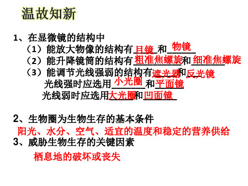 第二章观察生物结构-山东省德州市济南版七年级生物上册复习课件(共35张PPT)