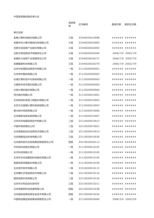 中国系统集成商