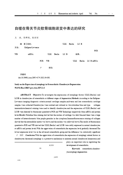 自噬在骨关节炎软骨细胞退变中表达的研究