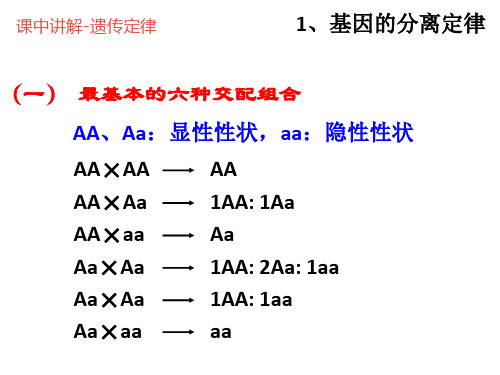 人教版高中生物必修2 基因的分离定律(课件) (共28张PPT)