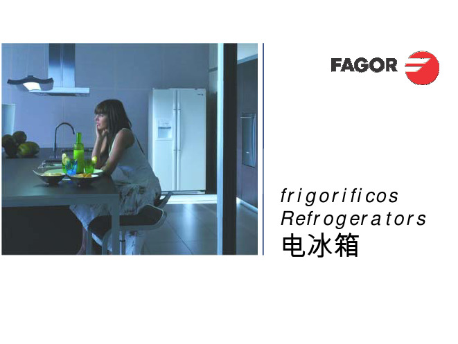 FAGOR 西班牙法格 电冰箱refrigerators_2008