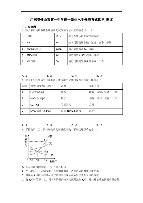 广东省佛山市第一中学高一新生入学分班考试化学_图文