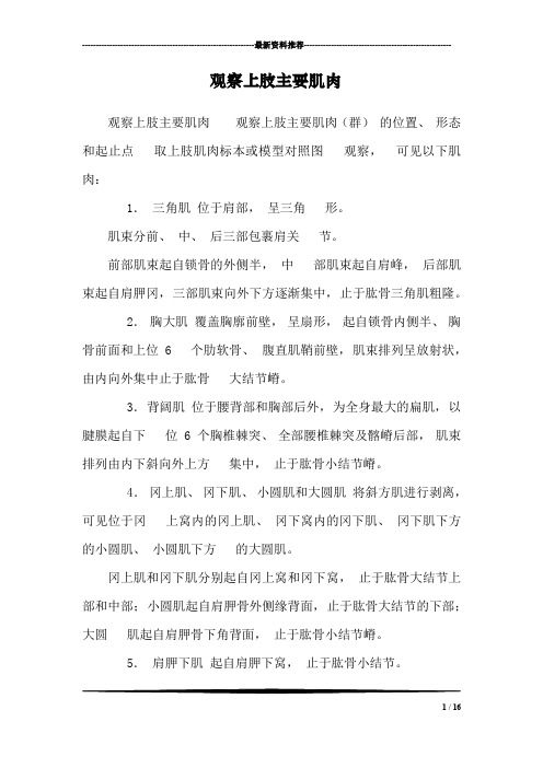 观察上肢主要肌肉_1