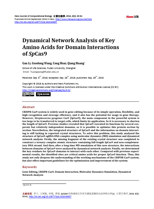 SpCas9结构域相互作用关键氨基酸的动态网络分析