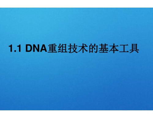 高一生物DNA重组技术的基本工具