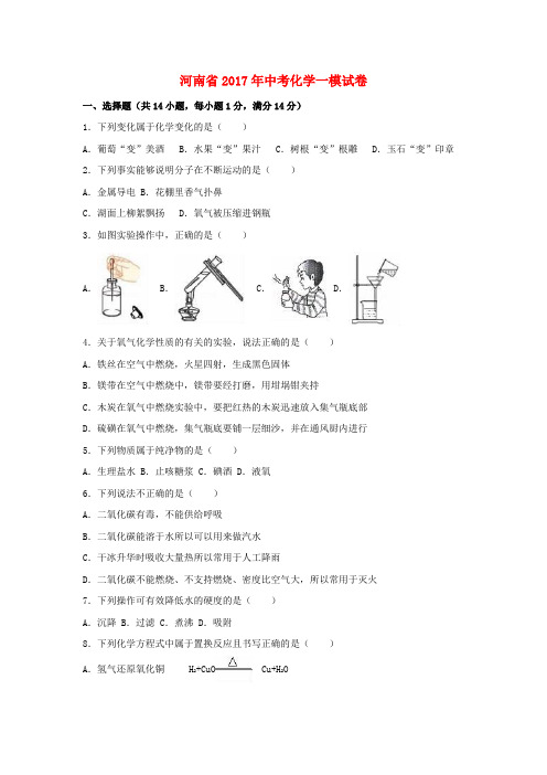 河南省2017年中考化学一模试卷(含解析)