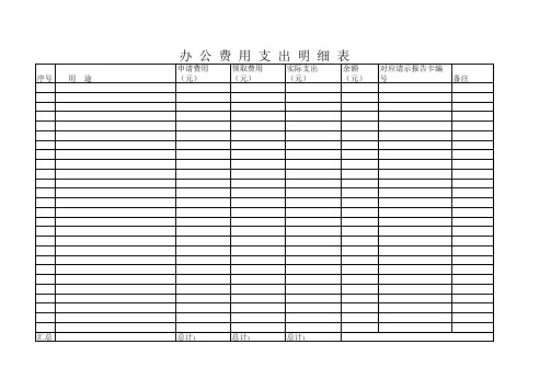 办公费用支出明细表